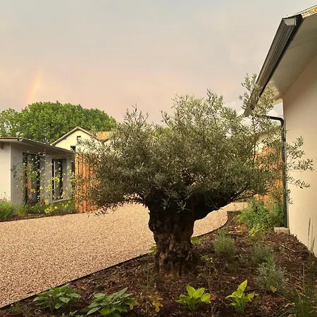 Dacse-village - 01 达克斯