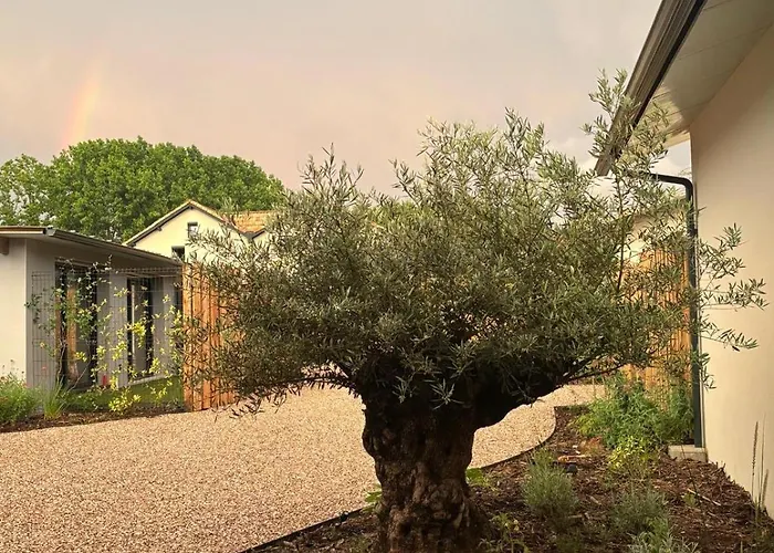 Dacse-village - 01 Dax